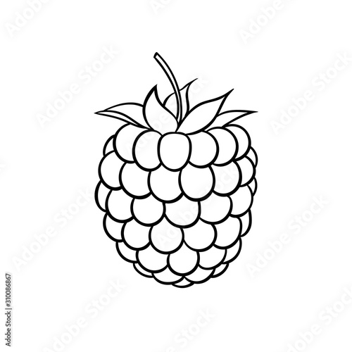 Beautiful cartoon black and white outline raspberry, symbol of summer. design for holiday greeting card and invitation of seasonal summer holidays, beach parties, tourism and travel