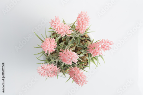 Pink Artificial flowers in pot white background