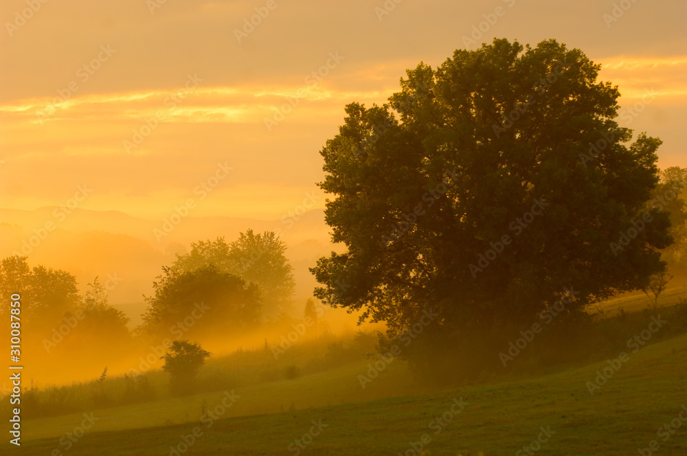 Naklejka premium sunrise field 