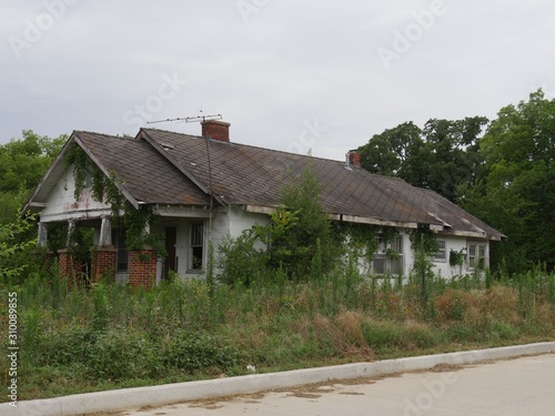 A dilapidated, abandoned house surrounded by shrubs and trees by a side road