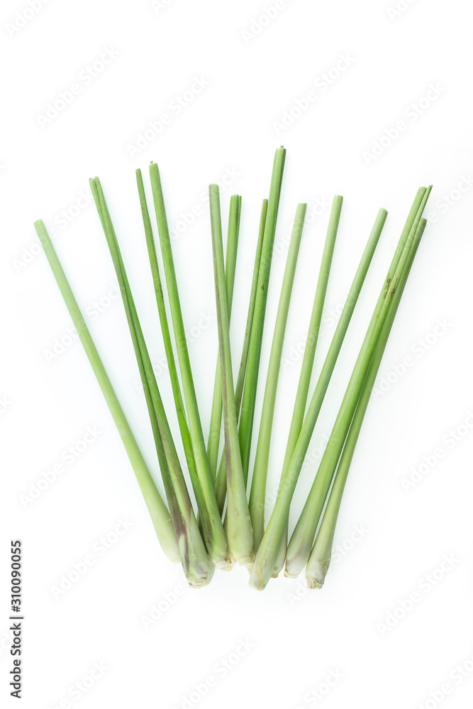 bundle lemon grass on white background. bundle lemon grass on white background.
