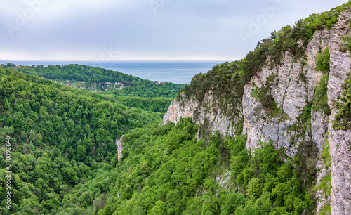 Mountain with a steep rocky slope and valley with thick green forest below.