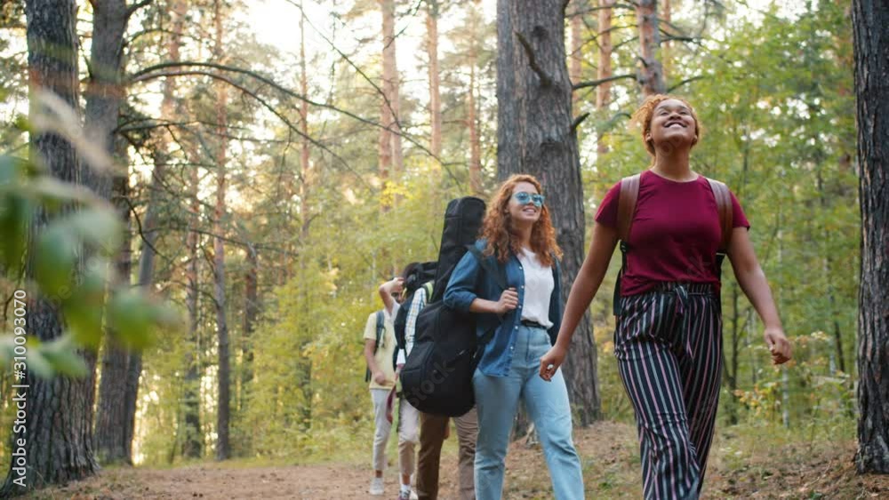 Slow motion of happy multiracial students female and male travelling in forest walking smiling relaxing together. Summer nature, relaxation and wood concept. Slow motion of happy multiracial students female and male travelling in forest walking smiling relaxing together. Summer nature, relaxation and wood concept.