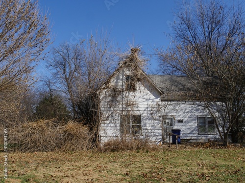 Abandoned house surrounded by thick shrubs and leafless trees in winter