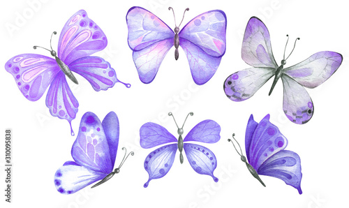 Set of watercolor purple butterflies.