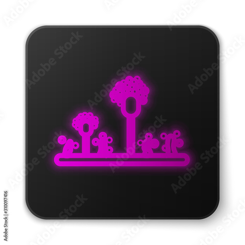 Glowing neon line Mold icon isolated on white background. Black square button. Vector Illustration