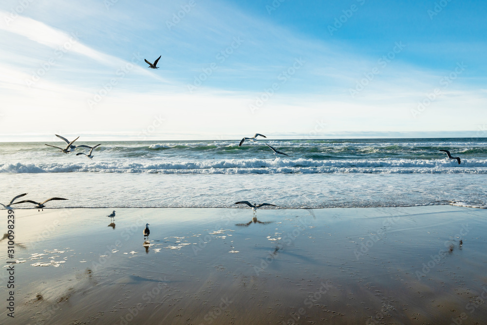 Flock of birds on the beach. Dramatic sea, cloudy sky background