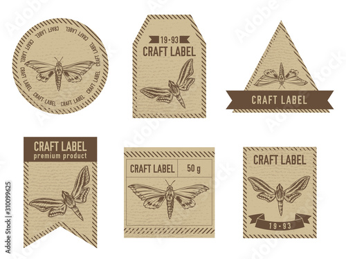Craft labels vintage design with illustration of ambulyx pryeri, theretra oldenlandiae photo