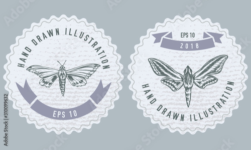 Фотография Monochrome labels design with illustration of ambulyx pryeri, theretra oldenland
