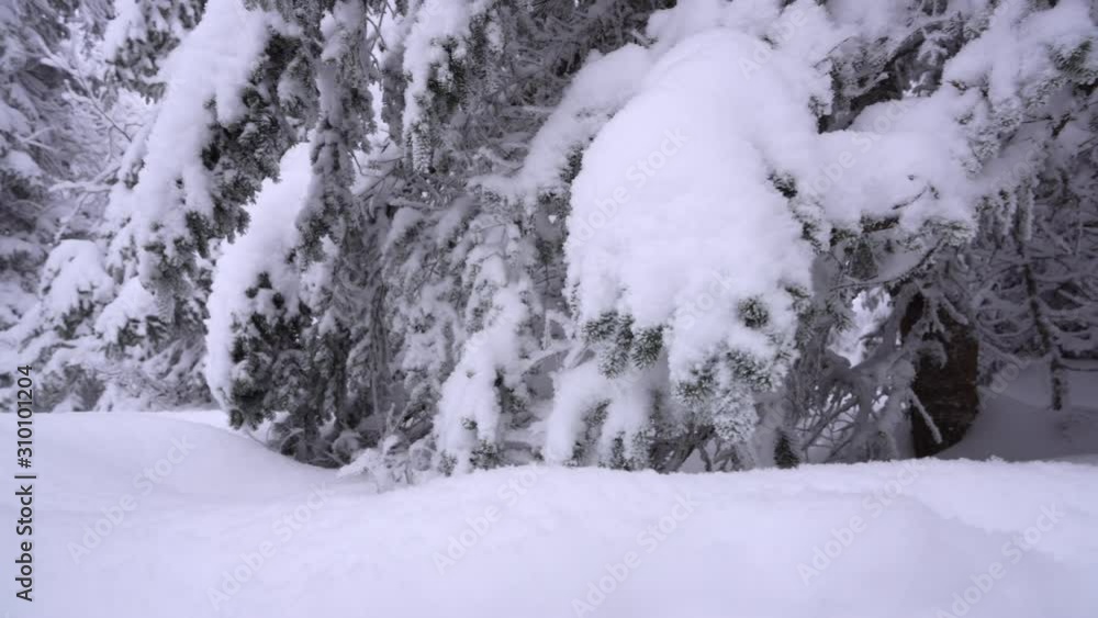 Dolly pan shot in wonderful Winter East Canadian Mountain Dolly pan shot in wonderful Winter East Canadian Mountain
