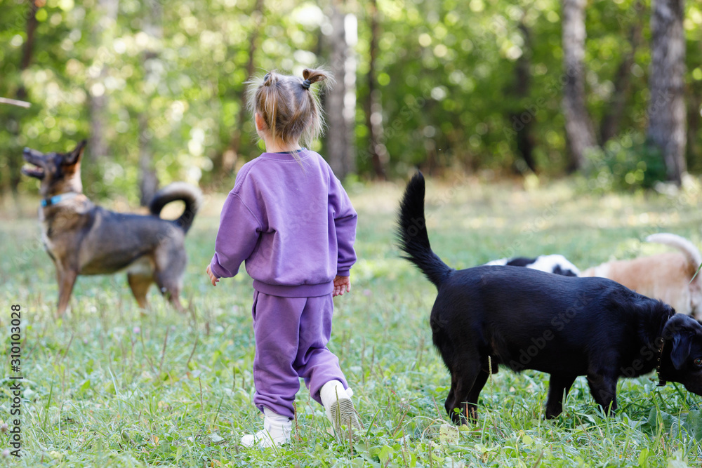 Little girl in a purple suit with dog.