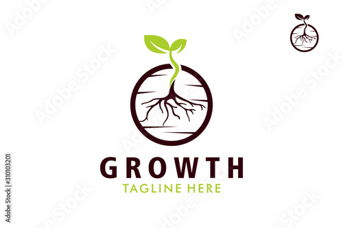 growth seed logo icon vector isolated