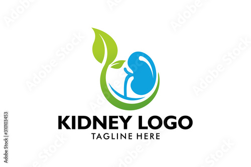 kidney care logo icon vector isolated