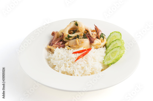 Stir Fried Basil with Squid on Rice