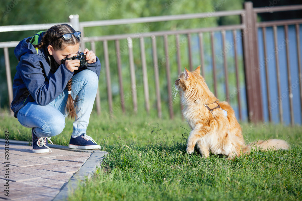 Teen girl shoots a red cat Maine Coon in a city park.