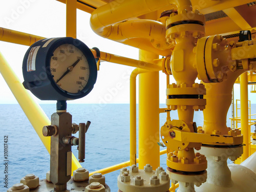 Digital pressure gauge for monitor process controller industry oil and gas .