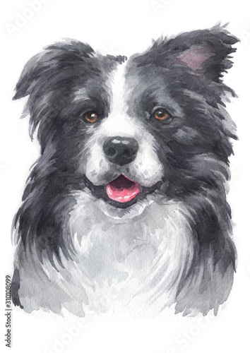 Fotobehang Water colour painting of Border Collie 077