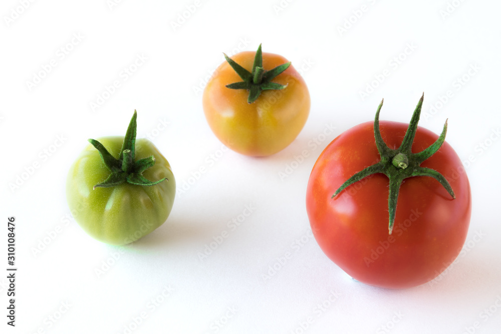 tomato growing up showing progress with leafs set isolated on white background. Health Concept tomato growing up showing progress with leafs set isolated on white background. Health Concept