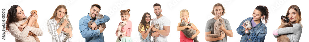 Different people with their cats on white background