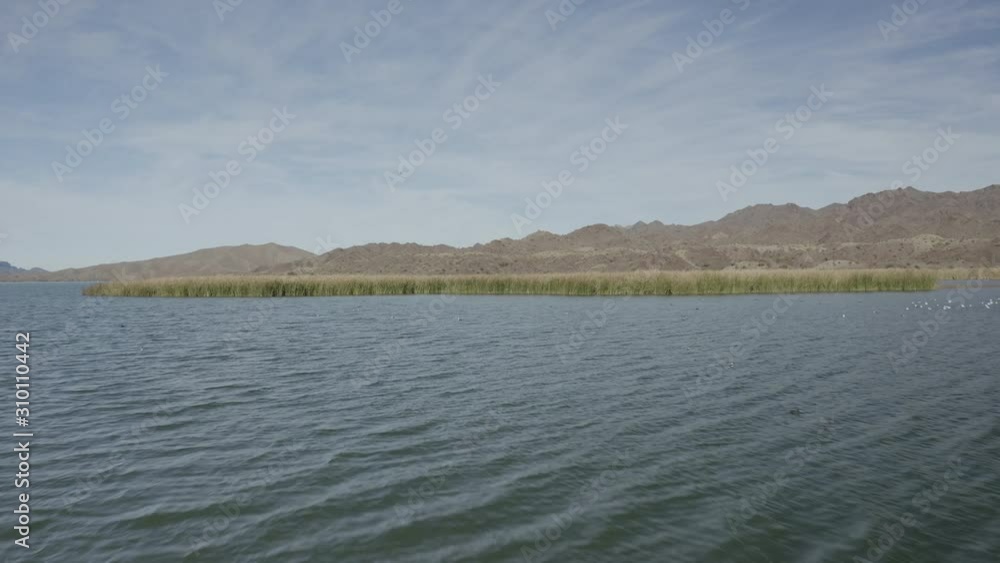 Aerial Drone View of Colorado river and Parker dam marsh and wetlands on a bright sunny day showing Arizona and California Aerial Drone View of Colorado river and Parker dam marsh and wetlands on a bright sunny day showing Arizona and California