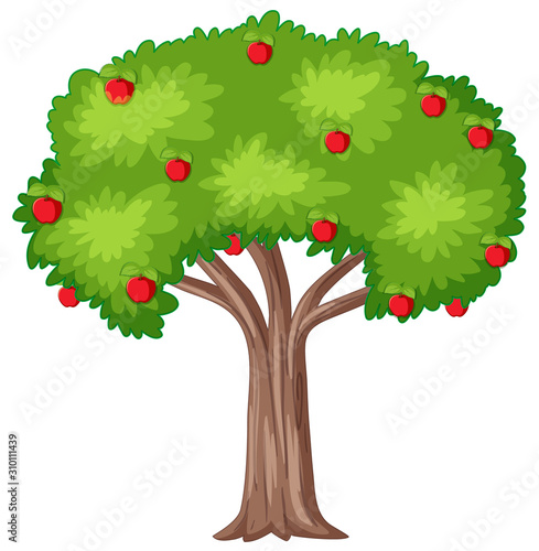 Apple tree on white background