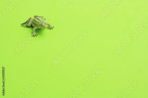 frog shaped rubber toy in color background