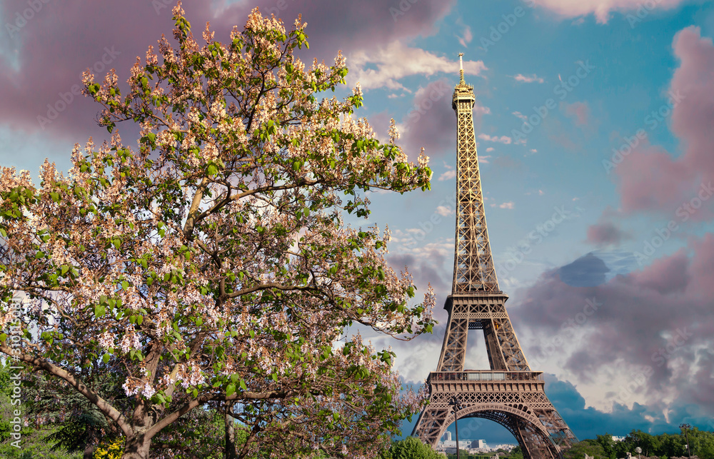 Eiffel Tower in Paris, France