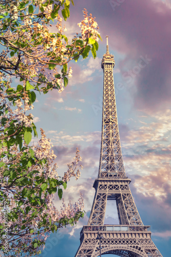 Fototapeta Naklejka Na Ścianę i Meble -  Eiffel Tower in Paris, France