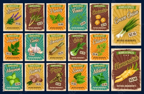 Spices, farm market herb seasonings and organic food condiments price cards. Vector lavender, savory and parsley, fennel and coriander spice, angelica and garlic, lemongrass seasoning and celery