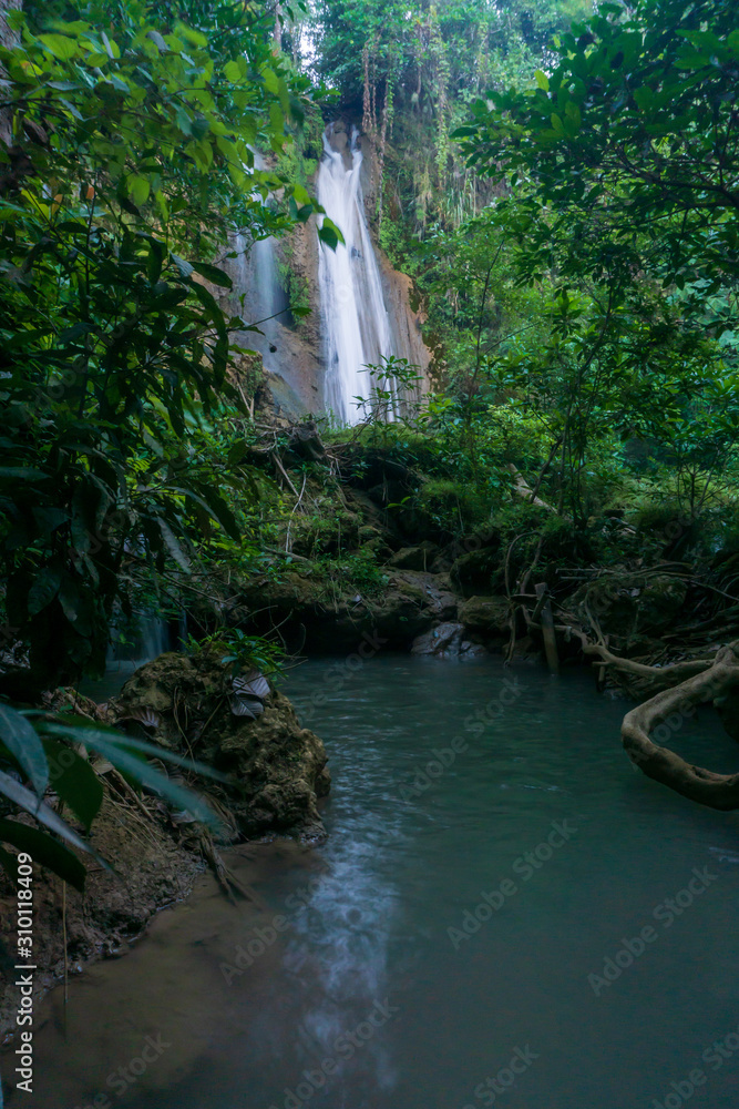 Naklejka premium Limestone waterfall in a green forest