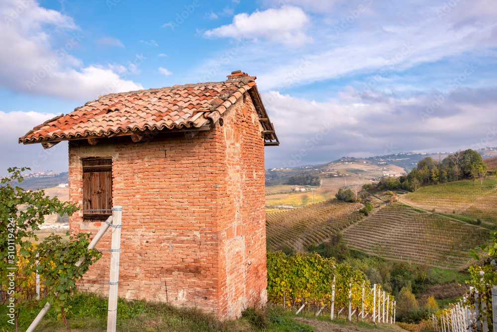 View of the world famous Barolo vineyards, in the hilly Region of Langhe (Piedmont, Northern Italy) during fall season; this area has been nominated UNESCO site since 2014. View of the world famous Barolo vineyards, in the hilly Region of Langhe (Piedmont, Northern Italy) during fall season; this area has been nominated UNESCO site since 2014.