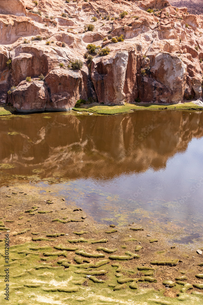 Eroded  rocks at laguna negra in Bolivia