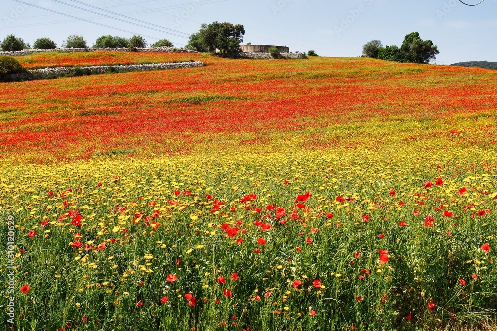 Anapo valley and the Pantalica plateau near Siracusa, in Sicily Italy