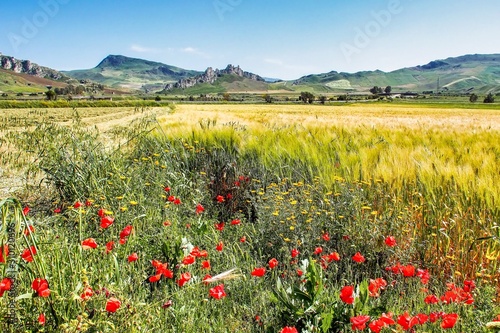 Landscape view near of Caltanissetta, Sicily, Italy, Europe