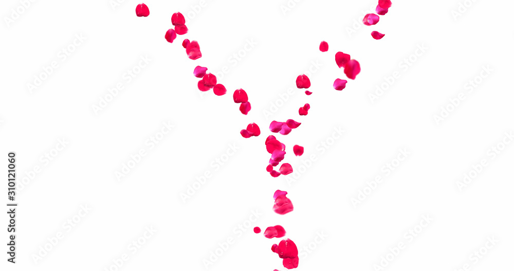 Rose Petal Alphabet with white background Rose Petal Alphabet with white background