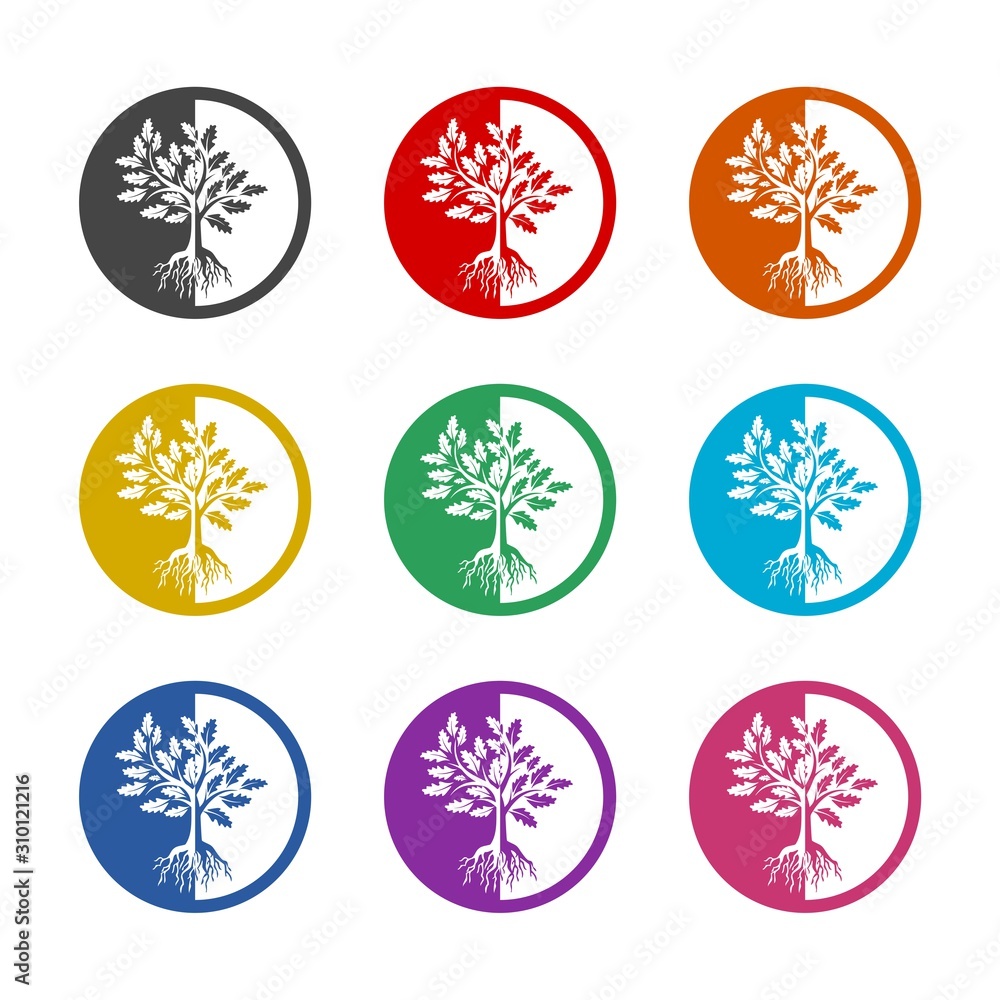 Tree and roots color icon set isolated on white background Tree and roots color icon set isolated on white background