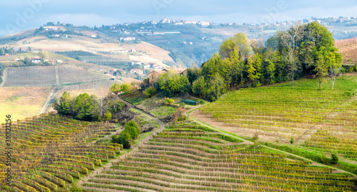 View of the world famous Barolo vineyards, in the hilly Region of Langhe (Piedmont, Northern Italy) during fall season; this area has been nominated UNESCO site since 2014.