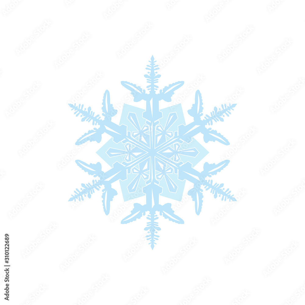 Vector snowflake isolated on white background