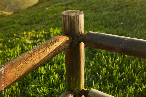 wooden cross on stump
