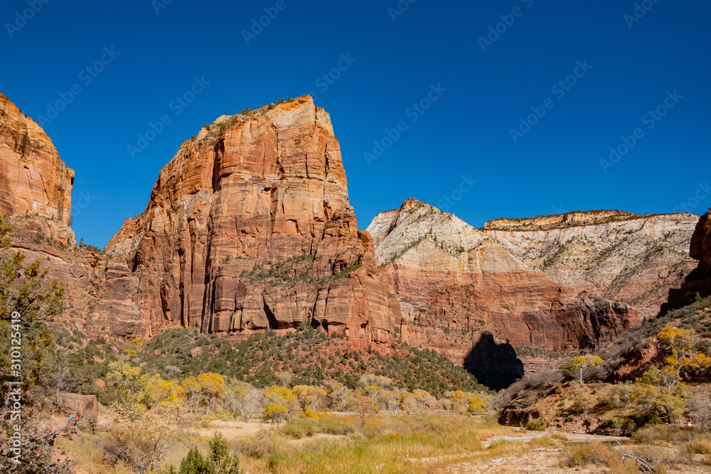 Fototapeta premium Beautiful autumn landscape around Zion National Park