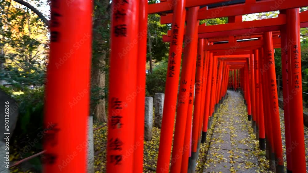 Nezu-jinja Shrine orange tori gates in Tokyo japan, 4k gimbal shot dynamic movement through the gates Nezu-jinja Shrine orange tori gates in Tokyo japan, 4k gimbal shot dynamic movement through the gates