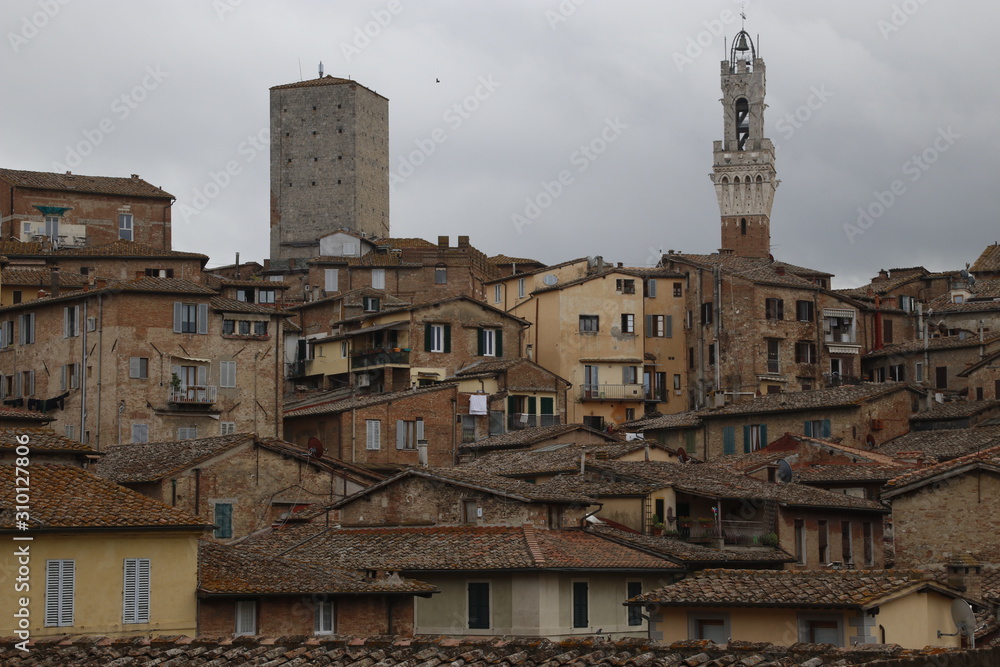 Architectonic heritage in Sienna