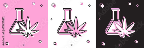 Set Chemical test tube with marijuana or cannabis leaf icon isolated on pink and white, black background. Research concept. Laboratory CBD oil concept. Vector Illustration