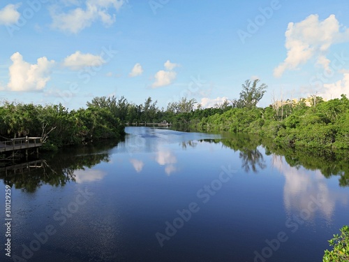Bild auf Leinwand Natur im Gordon River Greenway Park in Naples, Florida