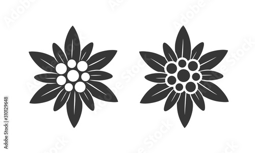 Edelweiss logo. Isolated edelweiss on white background