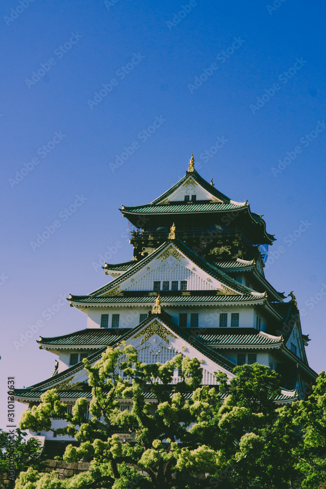 Fototapeta premium Osaka castle with trees in the foreground