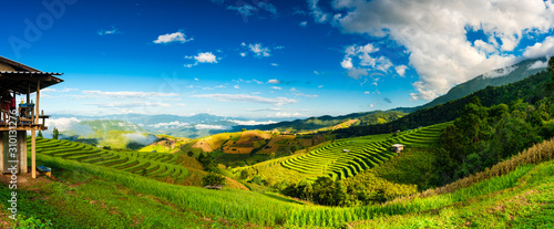 Aerial top view of paddy rice terraces  green agricultural fields in countryside or rural area of Mu Cang Chai  Yen Bai  mountain hills valley at sunset in Asia  Vietnam. Nature landscape background.