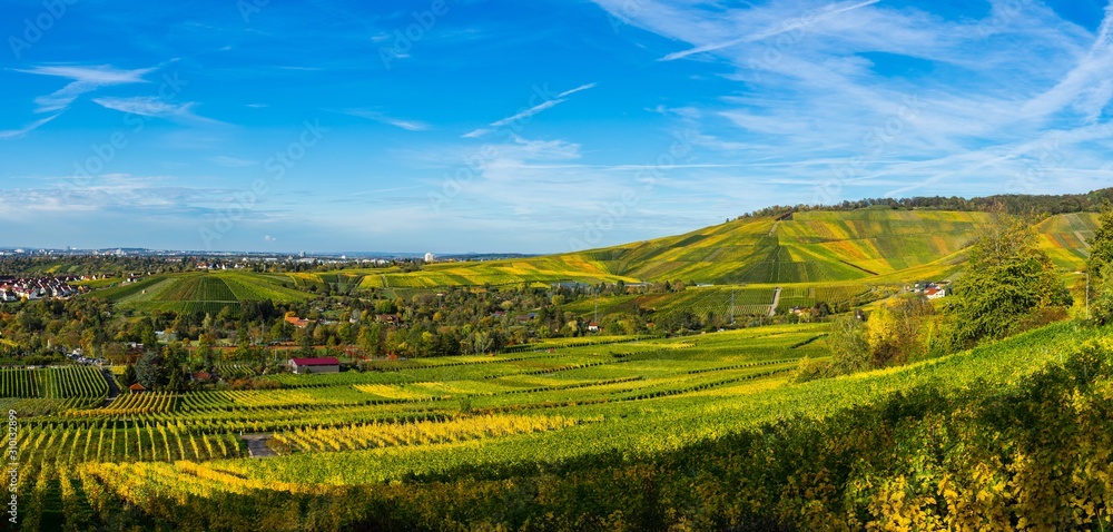 Germany, XXL panorama of colorful vineyards of kappelberg mountain in autumn season with blue sky on sunny day next to fellbach and stuttgart