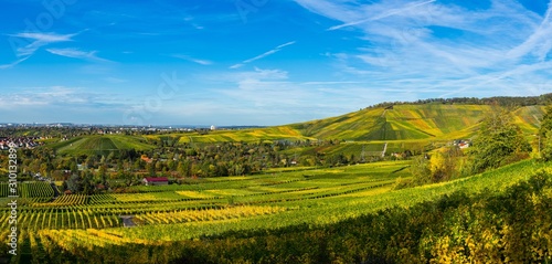 Obraz na płótnie Germany, XXL panorama of colorful vineyards of kappelberg mountain in autumn season with blue sky on sunny day next to fellbach and stuttgart w salonie