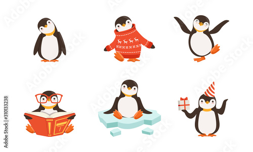 Cute Penguin Cartoon Characters Vector Set. Arctic Creature Wearing Sweater
